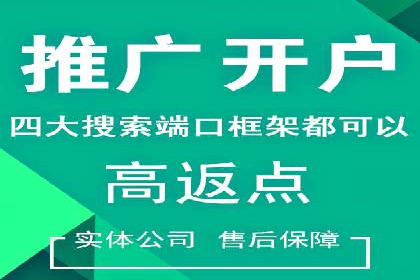 竞价排名失败案例：原因与教训